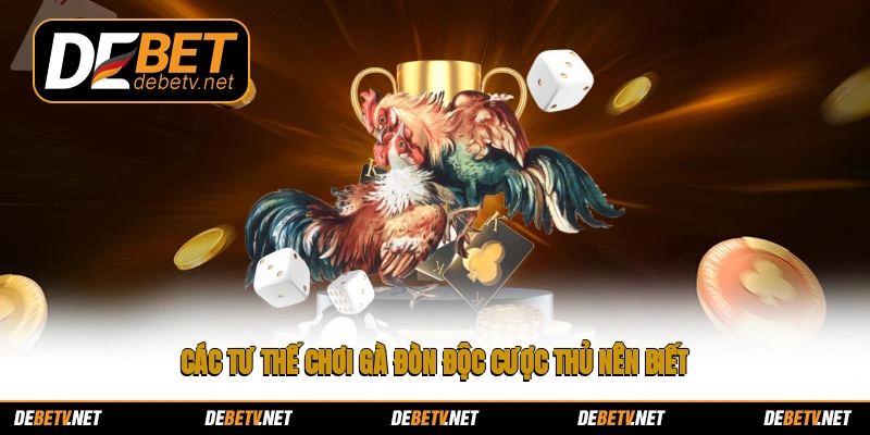 Các tư thế chơi gà đòn độc cược thủ nên biết