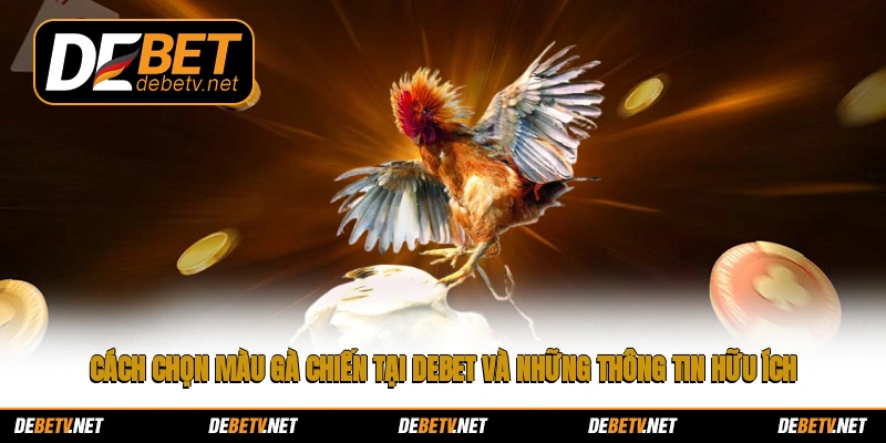 cách chọn màu gà chiến