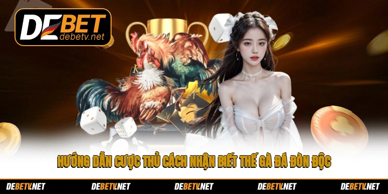 Hướng dẫn cược thủ cách nhận biết thế gà đá đòn độc