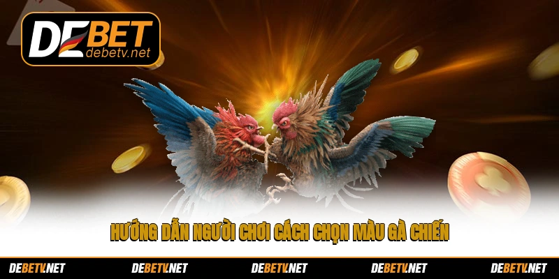Hướng dẫn người chơi cách chọn màu gà chiến