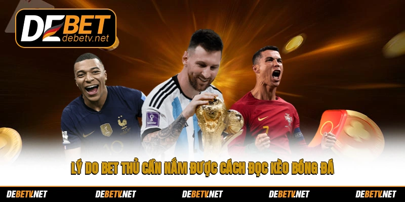 Lý do bet thủ cần nắm được cách đọc kèo bóng đá