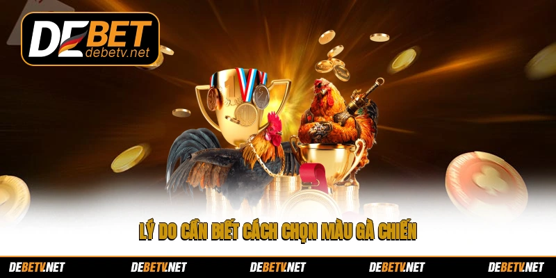 Lý do cần biết cách chọn màu gà chiến