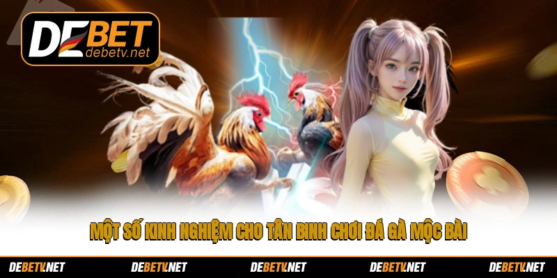 Một số kinh nghiệm cho tân binh chơi đá gà Mộc Bài