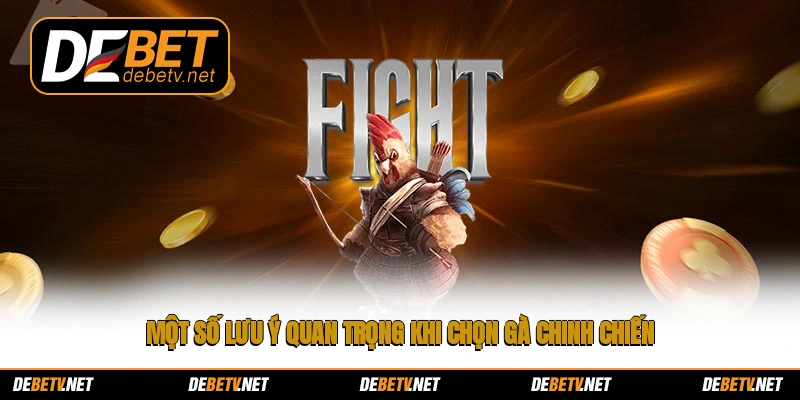 Một số lưu ý quan trọng khi chọn gà chinh chiến
