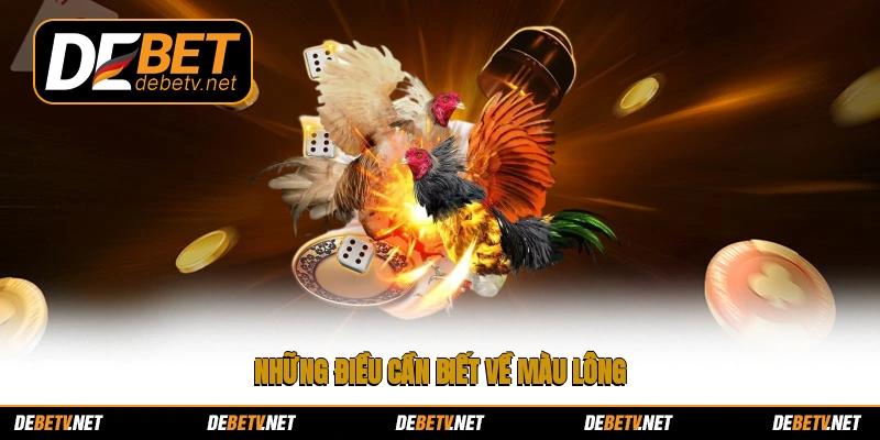 Những điều cần biết về màu lông