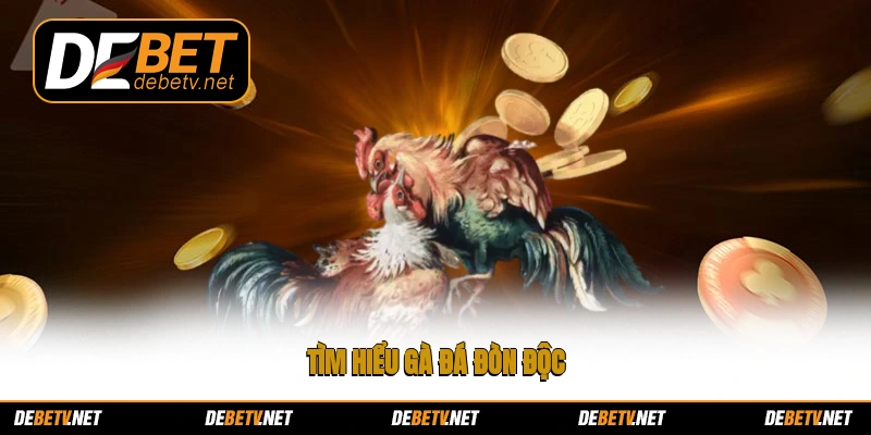 Tìm hiểu gà đá đòn độc